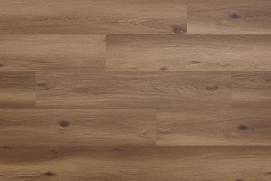 CW-211-Vinyl flooring Arbiton WOODRIC EIR - DALLAS OAK-5905167847770_D_01